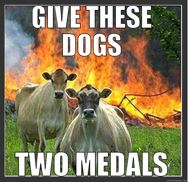 TO ARGHYA AND HIS BITCHFRIEND - GIVE THESE DOGS TWO MEDALS Evil cows