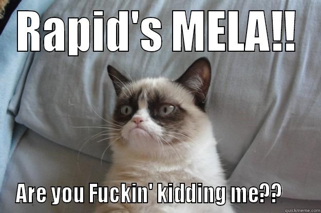 RAPID'S MELA!! ARE YOU FUCKIN' KIDDING ME??      Grumpy Cat