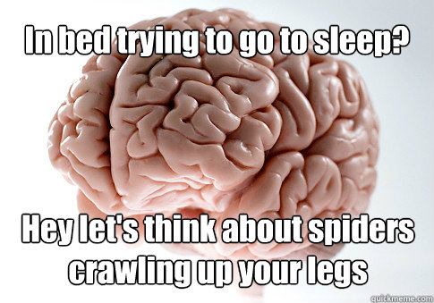 In bed trying to go to sleep? Hey let's think about spiders crawling up your legs   Scumbag Brain