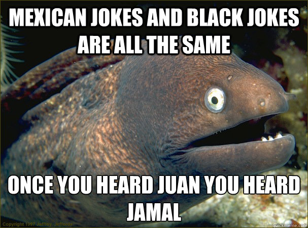 MEXICAN JOKES AND BLACK JOKES ARE ALL THE SAME ONCE YOU HEARD juan you heard jamal - MEXICAN JOKES AND BLACK JOKES ARE ALL THE SAME ONCE YOU HEARD juan you heard jamal  Bad Joke Eel