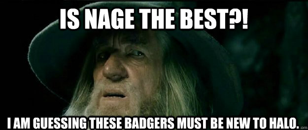 Is NAGE the best?! I am guessing these badgers must be new to Halo.  Gandalf