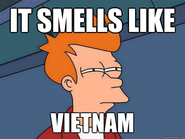 It smells like Vietnam  Futurama Fry