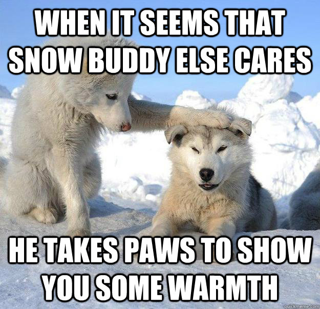 when it seems that snow buddy else cares he takes paws to show you some warmth  Caring Husky