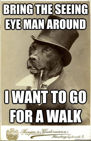 Bring the seeing eye man around I want to go for a walk  Old Money Dog