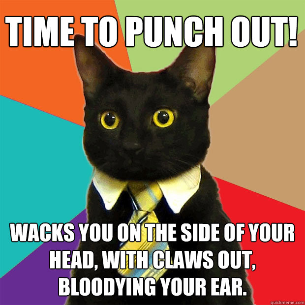 Time to punch out! Wacks you on the side of your head, with claws out, bloodying your ear.  Business Cat