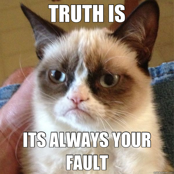 TRUTH IS ITS ALWAYS YOUR FAULT - TRUTH IS ITS ALWAYS YOUR FAULT  Reddits Angry Cat