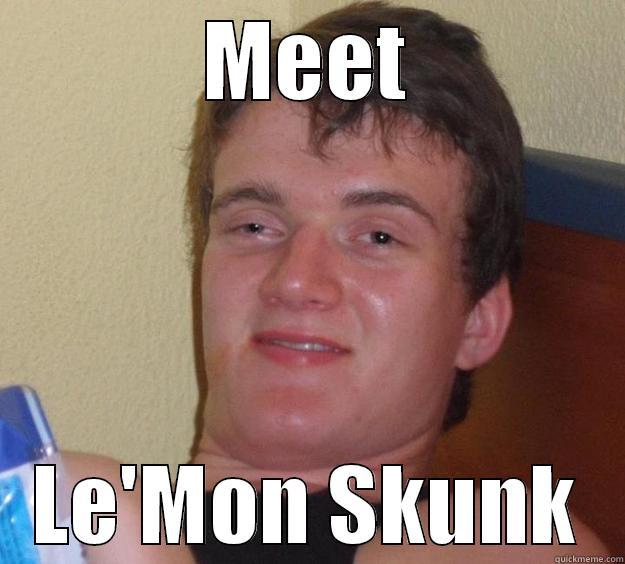 Meet Le'Mon - MEET LE'MON SKUNK 10 Guy