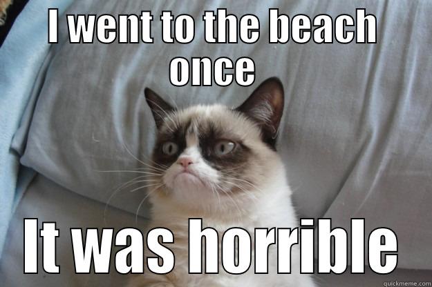 Poopy Beach Trip Grumpy Cat - I WENT TO THE BEACH ONCE IT WAS HORRIBLE Grumpy Cat