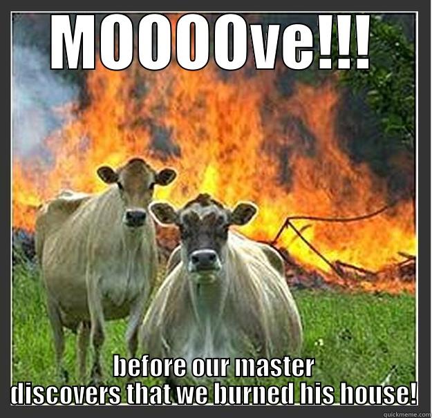 MOOOOVE!!! BEFORE OUR MASTER DISCOVERS THAT WE BURNED HIS HOUSE! Evil cows