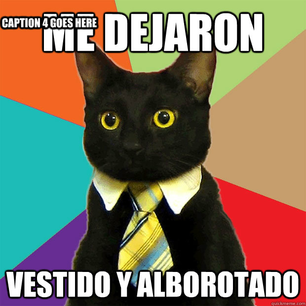 ME DEJARON  VESTIDO Y ALBOROTADO Caption 3 goes here Caption 4 goes here  Business Cat