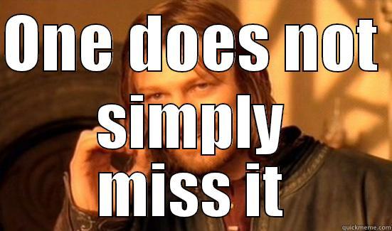 ONE DOES NOT  SIMPLY MISS IT Boromir