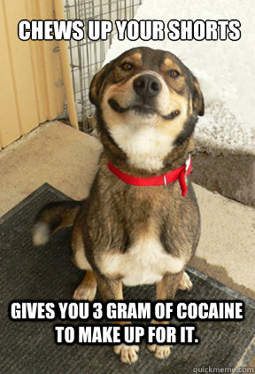 Chews up your shorts Gives you 3 gram of cocaine to make up for it.  Good Dog Greg