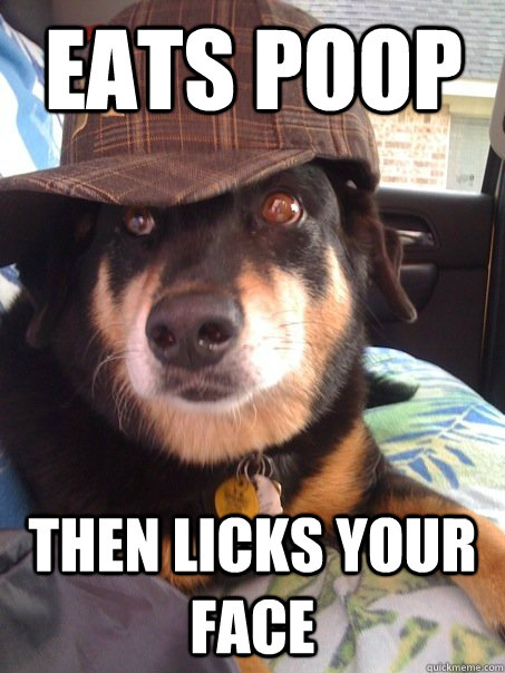 eats poop then licks your face  Scumbag dog