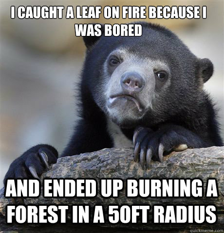 I CAUGHT A LEAF ON FIRE BECAUSE I WAS BORED AND ENDED UP BURNING A FOREST IN A 50FT RADIUS  Confession Bear