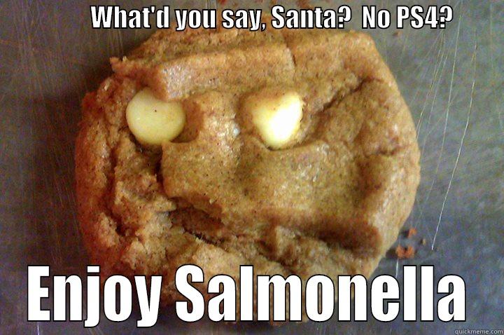                   WHAT'D YOU SAY, SANTA?  NO PS4?                               ENJOY SALMONELLA Misc