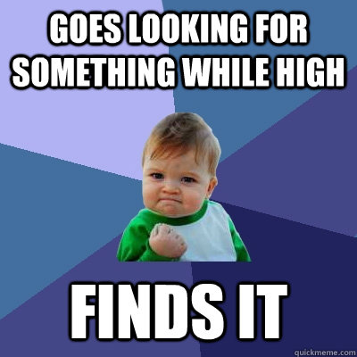 Goes looking for something while high Finds it  Success Kid