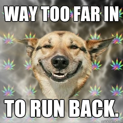 Way too far in to run back. - Way too far in to run back.  Stoner Dog