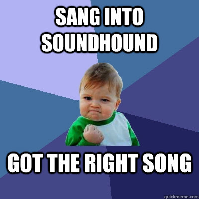 Sang into SoundHound got the right song - Sang into SoundHound got the right song  Success Kid