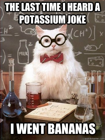 the last time i heard a potassium joke i went bananas  Chemistry Cat