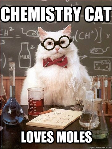 Chemistry cat loves moles  Chemistry Cat