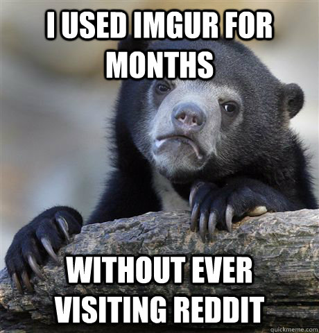 i used imgur for months without ever visiting reddit  Confession Bear