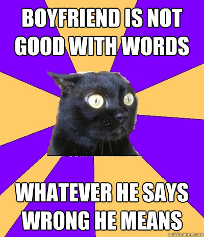 boyfriend is not good with words whatever he says wrong he means  Anxiety Cat