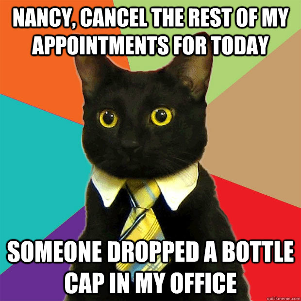 Nancy, cancel the rest of my appointments for today someone dropped a bottle cap in my office  Business Cat