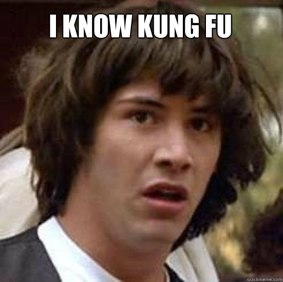 I know kung fu   conspiracy keanu