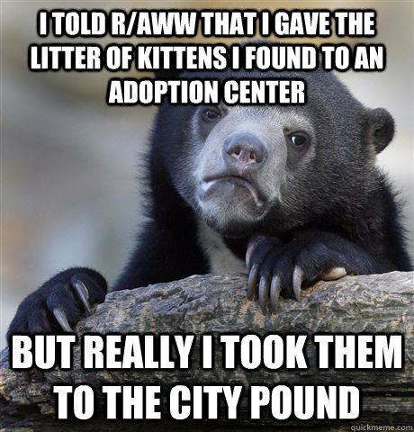 I told r/aww that I gave the litter of kittens I found to an adoption center but really i took them to the city pound   Confession Bear