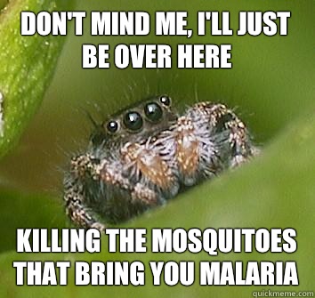 Don't mind me, I'll just be over here Killing the mosquitoes that bring you malaria - Don't mind me, I'll just be over here Killing the mosquitoes that bring you malaria  Misunderstood Spider