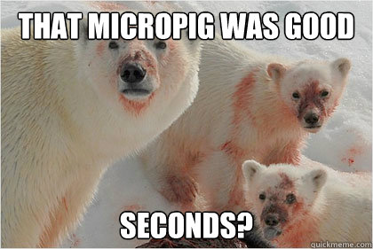 That micropig was good Seconds?  Bad News Bears