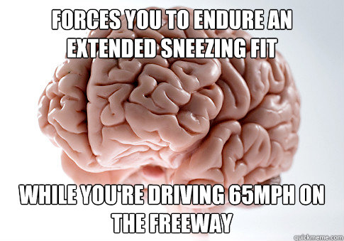 FORCES YOU TO ENDURE AN EXTENDED SNEEZING FIT WHILE YOU'RE DRIVING 65MPH ON THE FREEWAY  Scumbag Brain