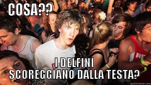 COSA??                                     I DELFINI SCOREGGIANO DALLA TESTA? Sudden Clarity Clarence