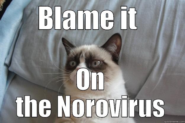 Norovirus sucks - BLAME IT  ON THE NOROVIRUS Grumpy Cat