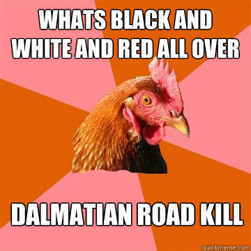 Whats black and white and red all over Dalmatian road kill  Anti-Joke Chicken