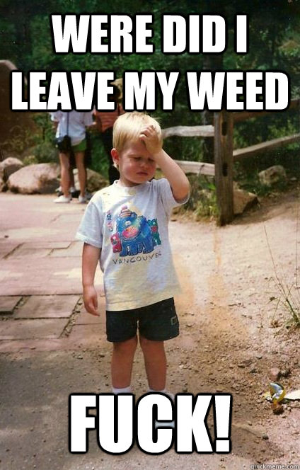 were did i leave my weed fuck! - were did i leave my weed fuck!  Regretful Toddler