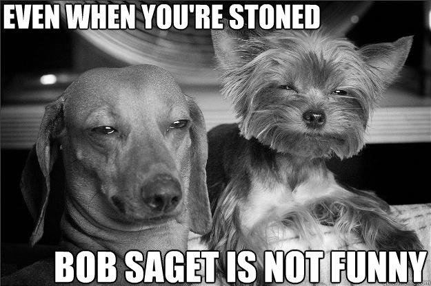 even when you're stoned bob saget is not funny - even when you're stoned bob saget is not funny  Stoner pups