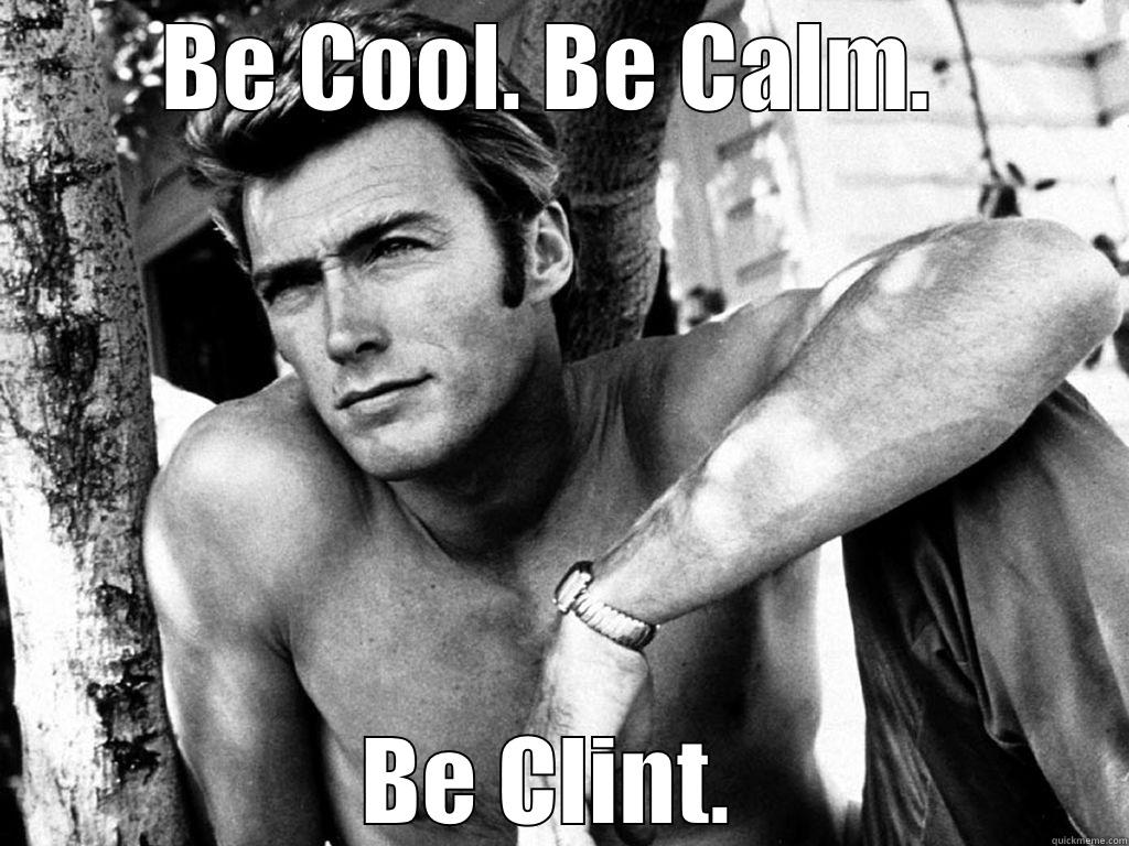 Cool Like Clint - BE COOL. BE CALM.  BE CLINT.  Misc