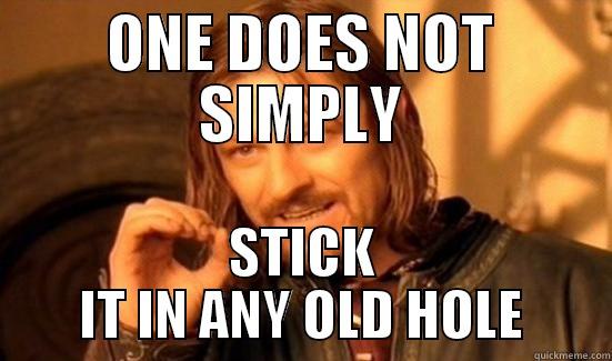 ONE DOES NOT SIMPLY STICK IT IN ANY OLD HOLE Boromir