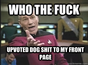 Who the fuck Upvoted dog shit to my front page  Annoyed Picard