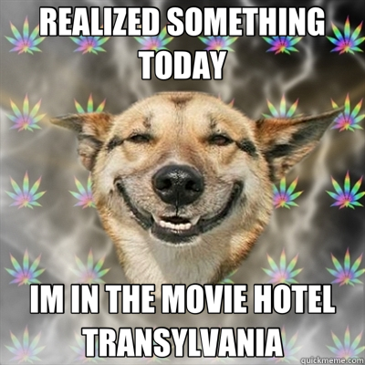 REALIZED SOMETHING TODAY IM IN THE MOVIE HOTEL TRANSYLVANIA  Stoner Dog