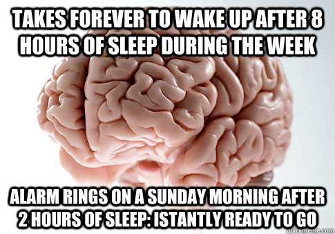 Takes forever to wake up after 8 hours of sleep during the week Alarm rings on a sunday morning after 2 hours of sleep: Istantly ready to go  Scumbag Brain