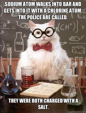 Sodium atom walks into bar and gets into it with a chlorine atom.  The police are called. They were both charged with a salt. - Sodium atom walks into bar and gets into it with a chlorine atom.  The police are called. They were both charged with a salt.  Chemistry Cat