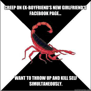 Creep on ex-boyfriend's new girlfriend's facebook page...  Want to throw up and kill self simultaneously.  Borderline scorpion