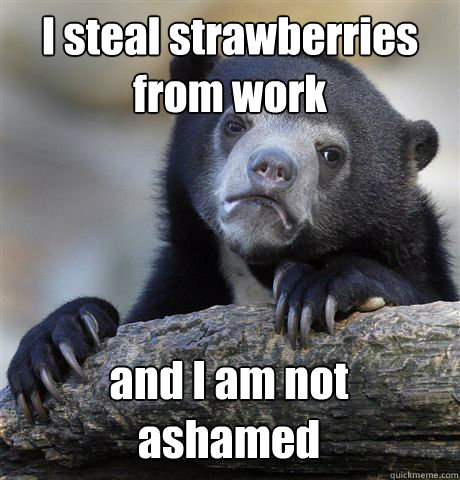 I steal strawberries
from work and I am not 
ashamed  Confession Bear