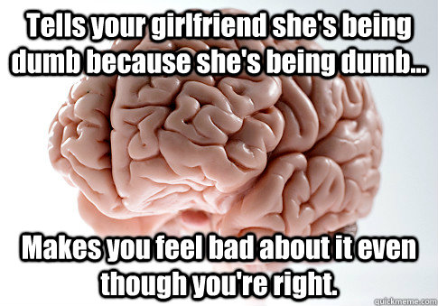 Tells your girlfriend she's being dumb because she's being dumb...  Makes you feel bad about it even though you're right.    Scumbag Brain