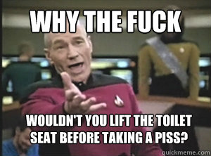 why the fuck wouldn't you lift the toilet seat before taking a piss?  Annoyed Picard