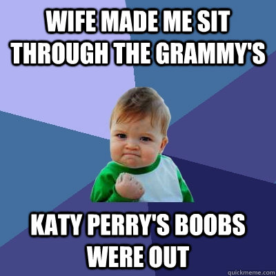 Wife made me sit through the Grammy's Katy Perry's boobs were out  Success Kid