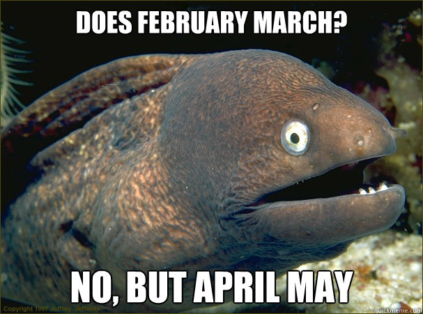 does february march? no, but april may - does february march? no, but april may  Bad Joke Eel