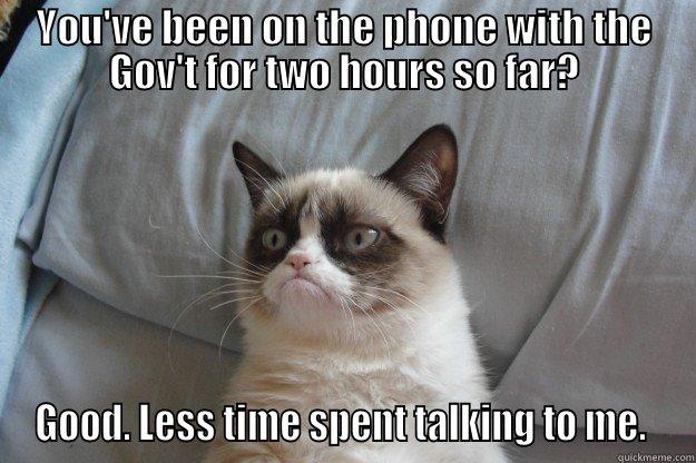 YOU'VE BEEN ON THE PHONE WITH THE GOV'T FOR TWO HOURS SO FAR? GOOD. LESS TIME SPENT TALKING TO ME.  Grumpy Cat